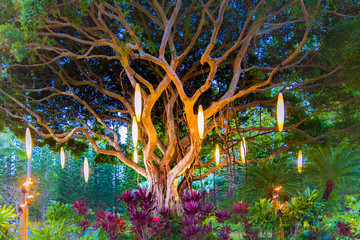 Colorful Hawaiian Banyan Tree with Fire and Lights