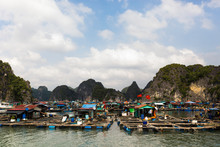 A Floating Village In The North Of Vietnam
