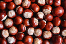Flat Lay Of Chestnuts