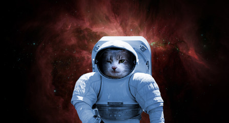 Wall Mural - close up astronaut triping through galaxy universe f