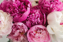Close Up Image Of A Variety Of Peonies