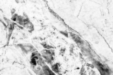 Poster - Subtle halftone vector marble texture overlay. Monochrome abstract splattered background.