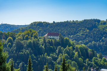 View to Castle in Neuenbuerg City