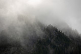 Fototapeta Na ścianę - rugged and rocky mountain covered in fog and trees