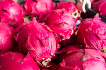 Canvas Print - stacks of pitaya fruits