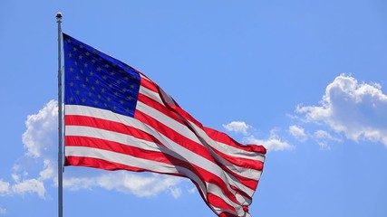 Wall Mural - the flag of the united states of american blowing in the wind