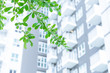 green eco city green tree plant with high rise condominium public urban accommodation background