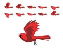 Scarlet Cardinal Flying Animation Cute Cartoon Vector Illustration