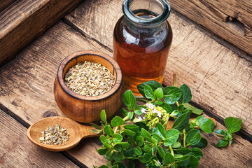 Wall Mural - Fresh and dried oregano herb