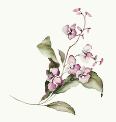 Flowers watercolor illustration.Manual composition.Big Set watercolor elements.