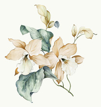 Flowers Watercolor Illustration.Manual Composition.Big Set Watercolor Elements.