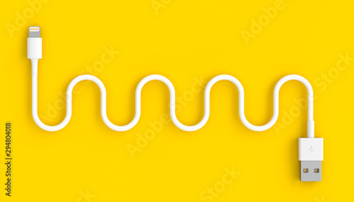 Fotomural 3d render of a classic serpentine shaped usb cable