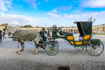  VIENNA, AUSTRIA  - 22-10-2018: Horse - drawn carriage or Fiaker, popular tourist attraction, on Michaelerplatz and Hofburg Palace.
