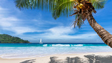 Sandy Beach With Palm Trees And A Sailing Boat In The Turquoise Sea On Paradise Island.	
