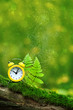 clock alarm in green nature landscape. concept make time for nature, environment. Daylight savings time. spring summer season. clock in forest. copy space. soft selective focus