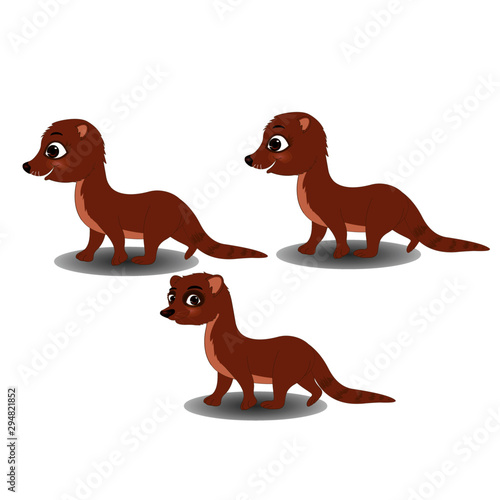 6 Best Baby Mongoose Images Stock Photos Vectors Adobe Stock 6 Best Baby Mongoose Images Stock Photos Vectors Adobe Stock