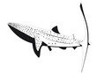 Requin baleine isolé en noir et blanc
