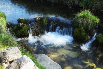 waterfall in forest