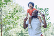 cheerful african american man piggybacking adorable son while walking in park