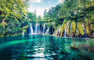 Wall Mural - fresh morning view of pure water waterfall in plitvice national park. picturesque spring scene of gr