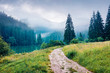 © Andrew Mayovskyy - Nice morning scene of Lacu Rosu lake. Foggy summer sunrise in Harghita County, Romania, Europe. Beauty of nature concept background.