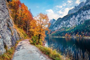 Wall Mural - Amazing autumn scene of Vorderer / Gosausee lake. Gorgeous morning view of Austrian Alps, Upper Austria, Europe. Beauty of nature concept background. Amazing world of Alpine Mountains.