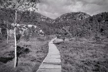 Norway Landscape. Black And White Vintage Style.