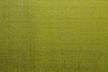 Abstract textured decorative stucco background in green colors.