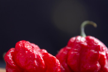 Hottest pepper in the world. Trinidad Scorpion Butch, thousands of times more spicy than Havana. On black slate background, with natural light. Spicy dark food food concept.