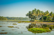 Kerala Landscape