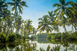 Poovar Lake, Kerala, India