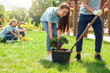 © Viktoriia - Volunteering. Young people volunteers outdoors planting trees boy helping girl digging plant from pot happy close-up