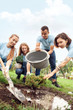 © Viktoriia - Volunteering. Young people volunteers outdoors planting trees together pouring water on ground smiling happy