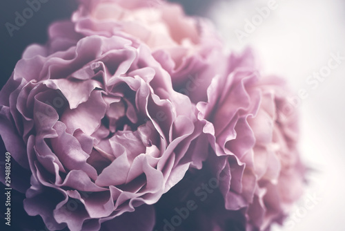 Dekoracja na wymiar  bukiet-roz-z-bliska-stonowanych-nieostrosc-kwiatowy-tlo
