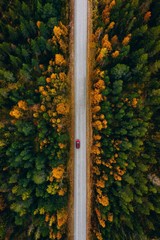 Wall Mural - Aerial view of rural road in yellow and orange autumn forest in rural Finland.