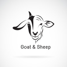 Vector Of Goat Face And Sheep Face On A White Background. Animals Farm. Easy Editable Layered Vector Illustration.