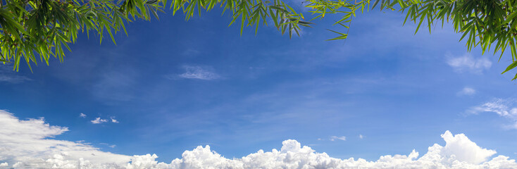 Wall Mural - Bamboo leaf frame with sky background