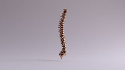 Wall Mural - Bronze Spine Vertebrae Backbone 3 Quarter Right View 3d illustration 3d render