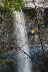 Wall Mural - large waterfall with high cliffs and trees with autumn foliage