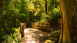 © Andrew - Colourful tree trunk and boulders mark entrance to footbridge on the Capilano Pacific Trail, North Vancouver