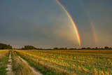 Fototapeta Tęcza - Two rainbows in the cloudy sky, horizon and dirt road in the field