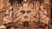 Lion Head Fountain In The Old Mediterranean City