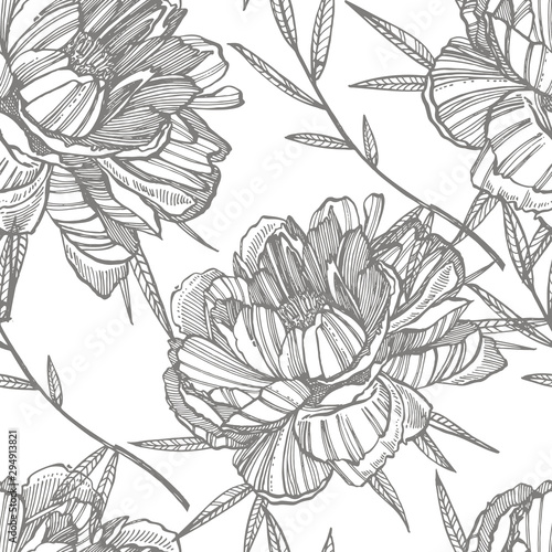 Peony flower and leaves drawing. Hand drawn engraved floral set. Botanical il...