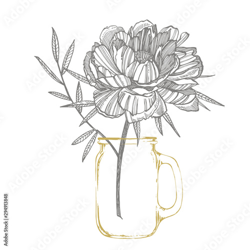 Peony flower and leaves drawing. Hand drawn engraved floral set. Botanical il...