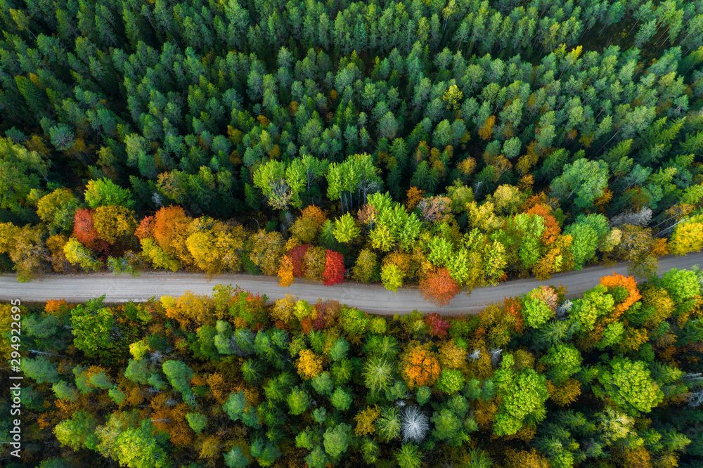 Latvian autumn nature. Forest and road. View from the top. - obrazy, fototapety, plakaty 