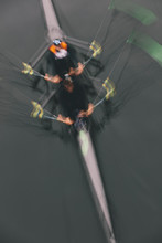 Blurred Motion Overhead View Of A Double Scull Pairs Boat, Two Oarsman In A Sculling Boat On The Water, Mid Stroke.,Lake Union