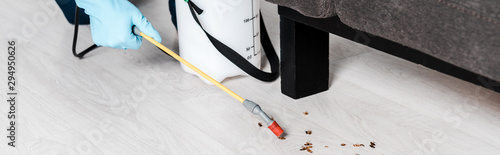 Fotografía panoramic shot of man holding toxic spray near cockroaches on floor