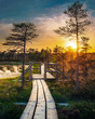 © valdisskudre - Wooden path in the swamp during sunset. Kemeri, Latvia.