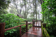 © bangprik - Close-up nature background, surrounded by big green trees, blurred mist of cold weather, wooden bridge to see the scenery while traveling, the beauty of the high mountain ecosystem