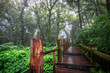 © bangprik - Close-up nature background, surrounded by big green trees, blurred mist of cold weather, wooden bridge to see the scenery while traveling, the beauty of the high mountain ecosystem